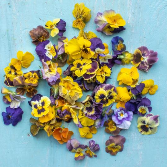 Edible Freeze Dried Violas (Pansies) Mix – Small Flower – Grown & Dried In Dorset – Food Grade – Culinary – Decoration – Eco Friendly